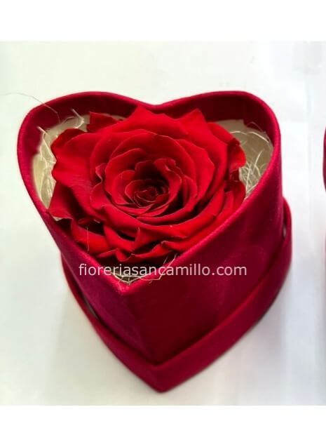 Rosa stabilizzata 🌹 eterna come l’amore ♥️