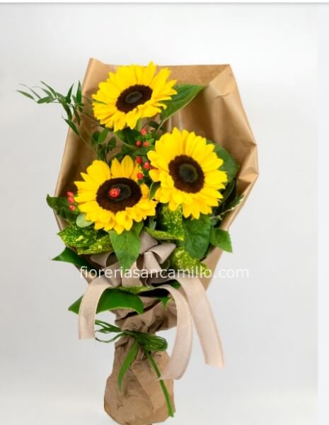 Mazzo di 3 girasoli confezionati